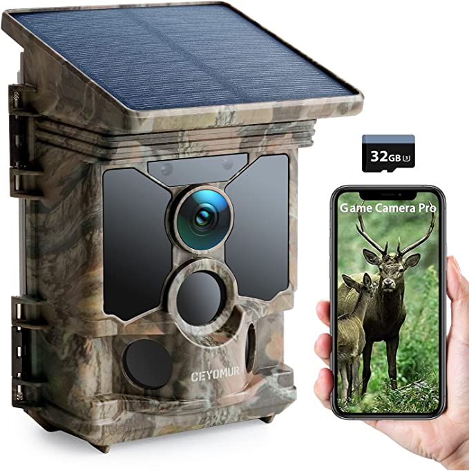 WILDLIFECAMERAS