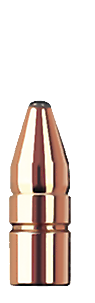 GESCHOSSE RWS DK CAL.30 - 10,7GR – 10.7 GR – 165 GRS