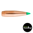 SIERRA 308 30CAL. 165 GR TGK